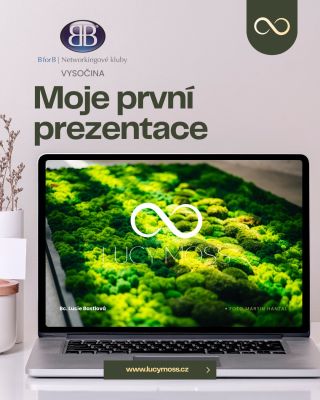 🌟 Včera jsem měla svoji první prezentaci o mechových obrazech v @ritual_pokebar jako hrdý člen Business for Breakfast...